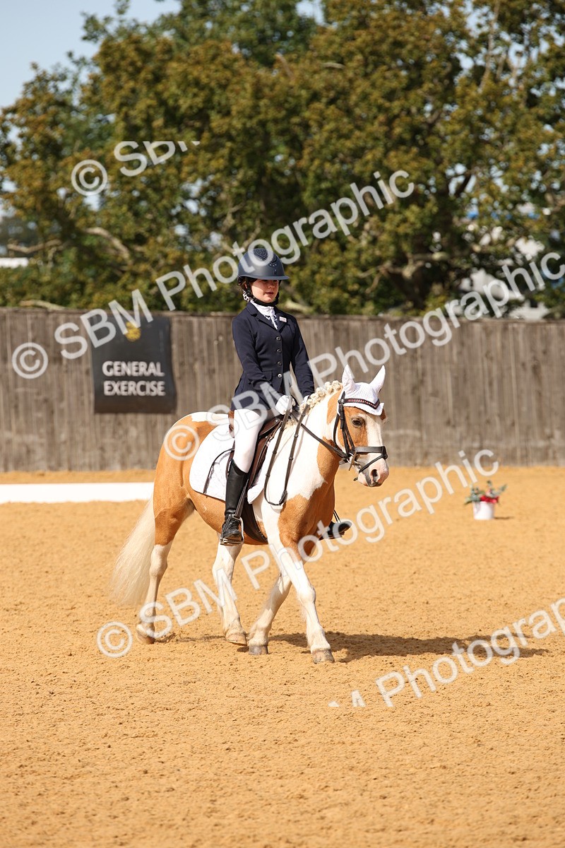 SBM_21793 - D5 - Small Tour Championship - Intro C