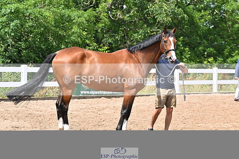 240718A-105313-01723 - Trot Up 1pm to 2pm