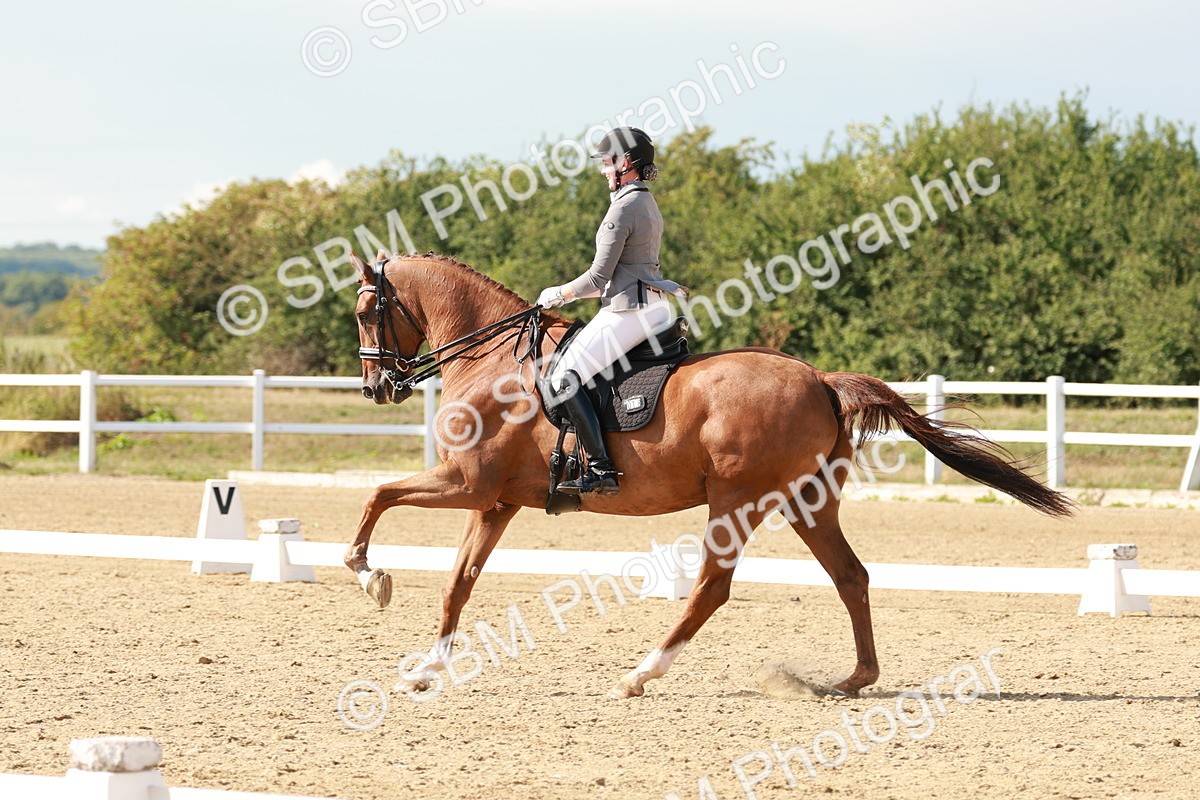 SBM_002563 - Class 11 - Medium 6