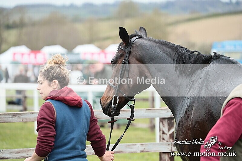 PtP 130425 190 - Edgecote Races 13/04/25
