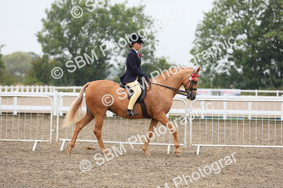 SBM_22285 - Class 807 - Young Rider 11 to 16 Yrs