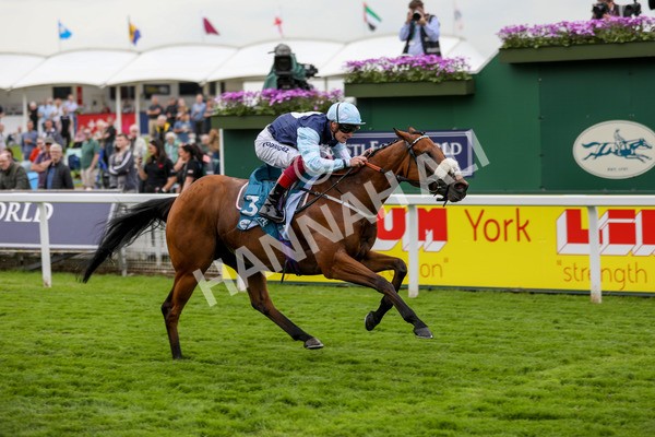 180523-Race 1-Regional-7265 - Race 1 1.50pm Lindum York Handicap