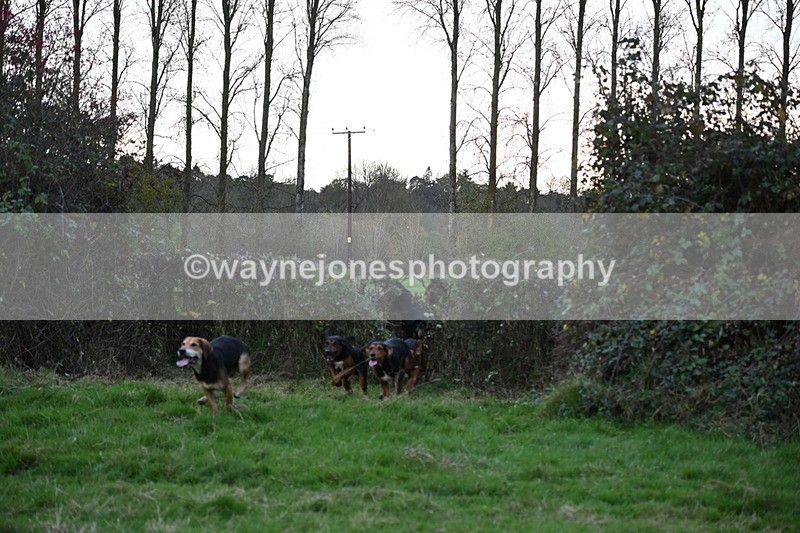 WJ6_0383 - Camera 1