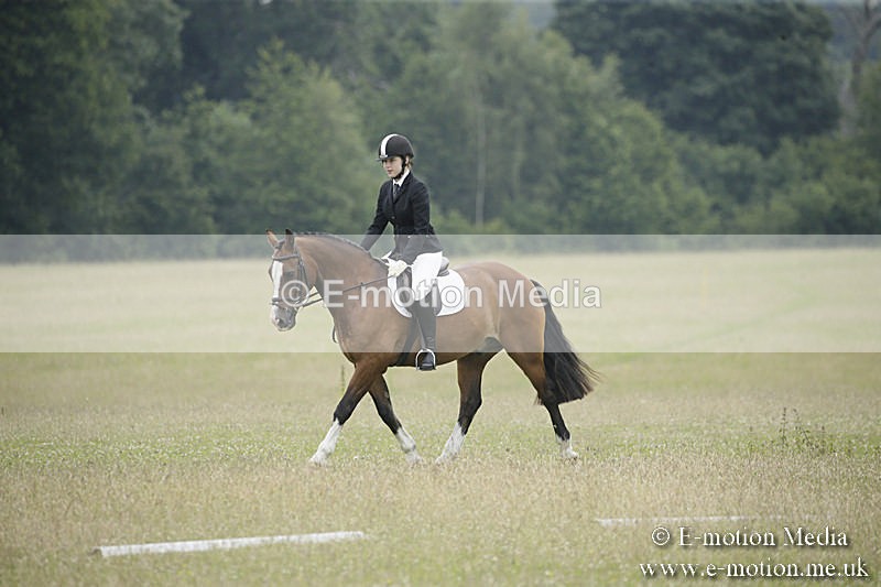B230619-0655 - Bourne Valley Riding Club Summer Show 23/06/19