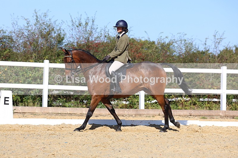 3E7A5735 - Class 10: Riding Horse