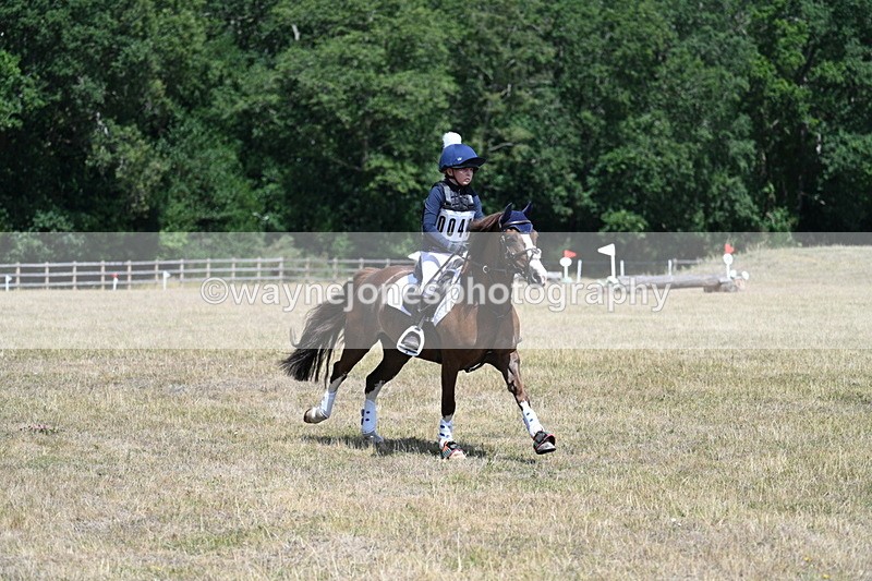 WJ7_1274 - 60cm Time 12:53 to 13:19