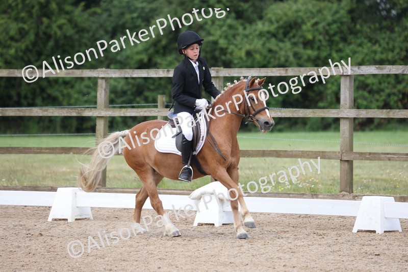 20250614-0395 - Class 4 - Novice 2