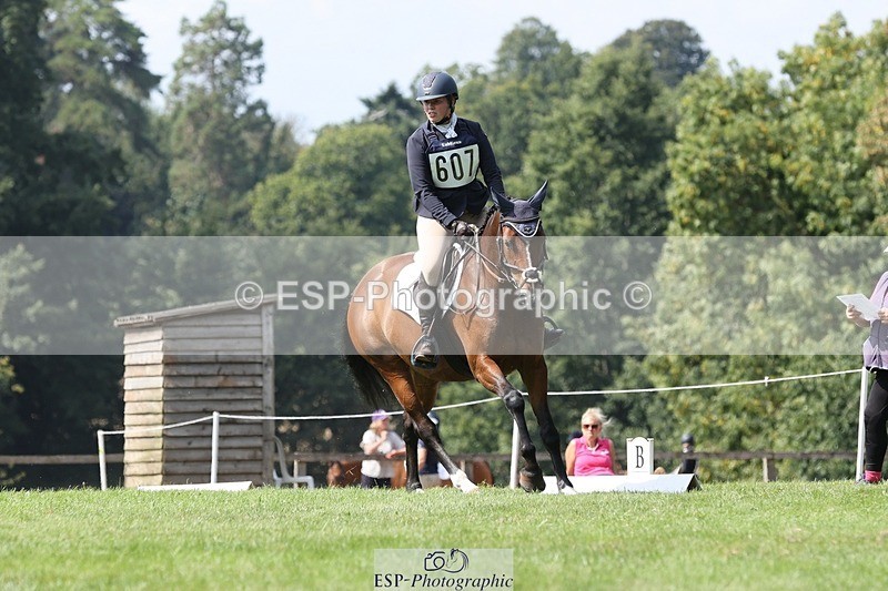 250823A-140352-31458 - Arena D