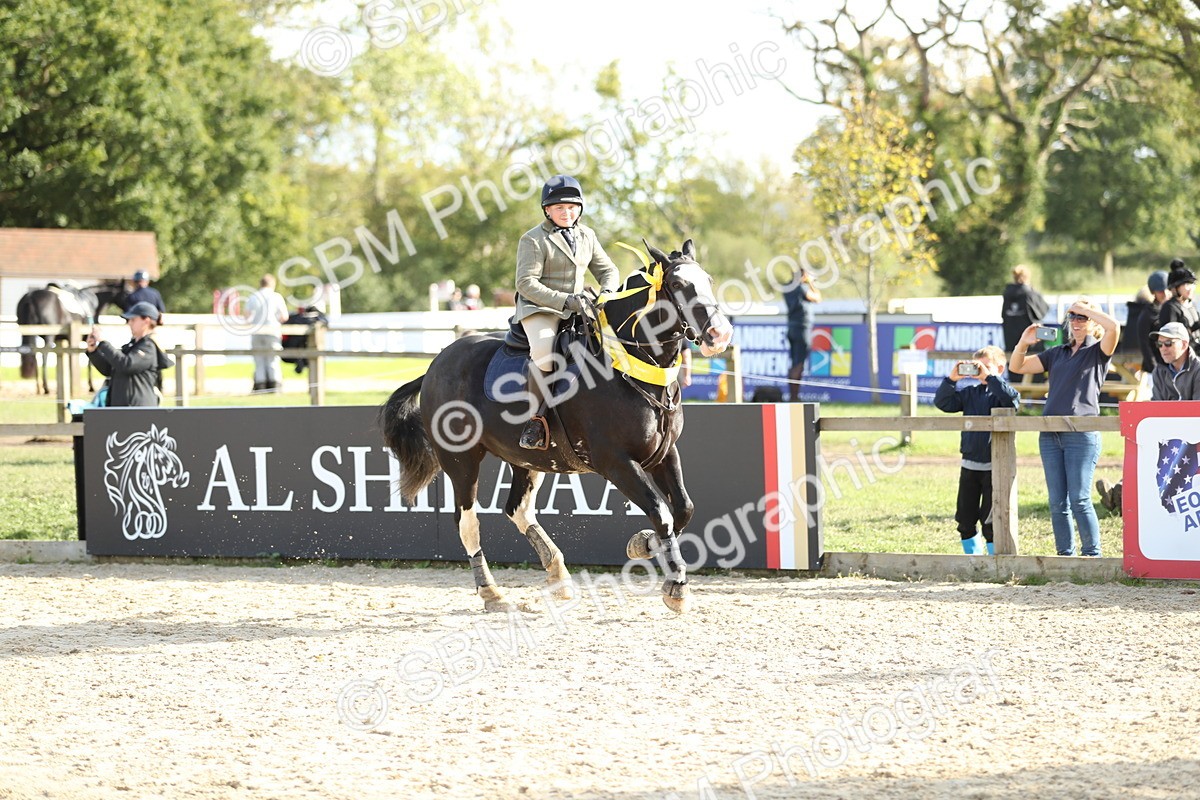 SBM_49671 - J22 - Junior Horse 65cm Championship