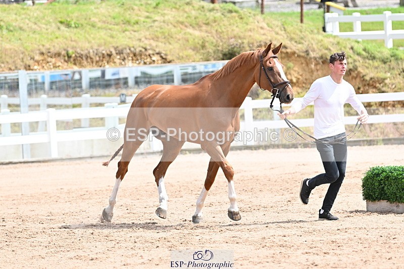 240717A-144245-02216 - Trot Up 2pm to 3pm - This folder is not in time order