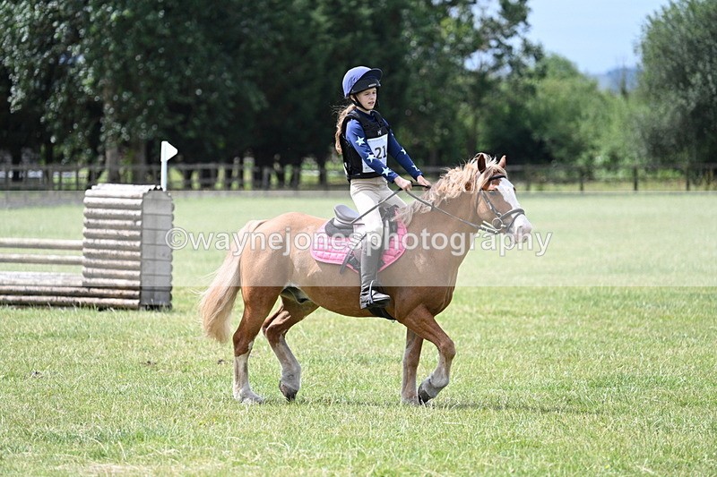WJ7_5595 - 80cm XC Pairs