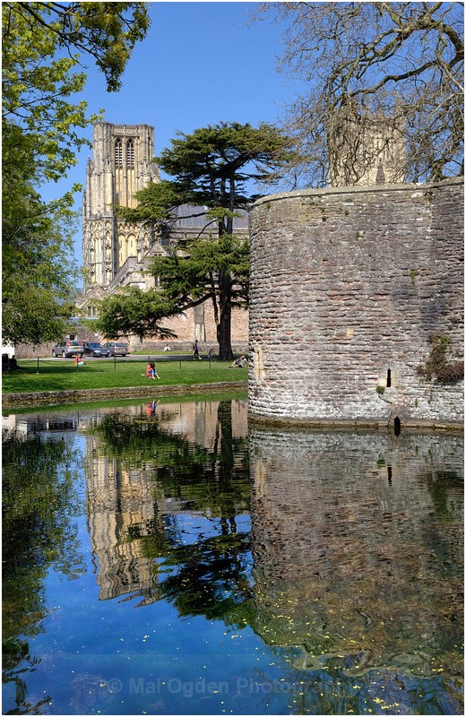 Wells Cathedral - South and Southwest