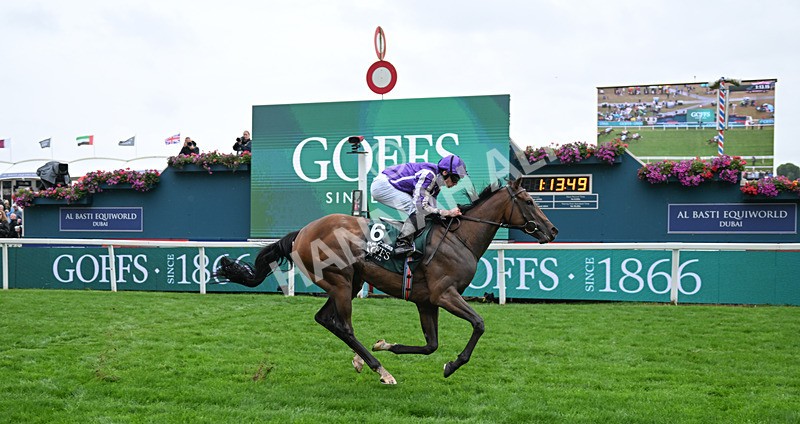 200826-037 Sun Goddess - Race 2 14.25pm Harry's Half Million By Goffs