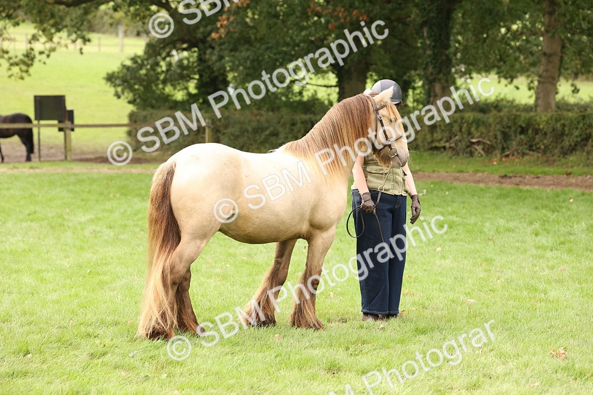 SBM_59251 - S57 - Traditional Cob In Hand