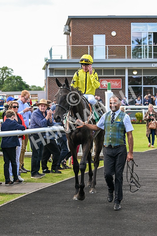 160624-Race 4-Align The Stars-8869 - Race 4