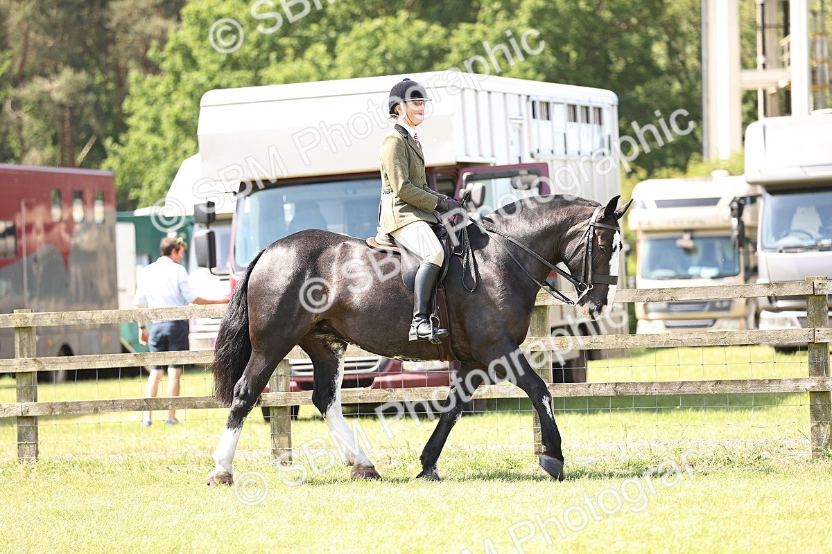 SBM_13683 - Class 77 - LIHS BSHA Rising Star Cobs