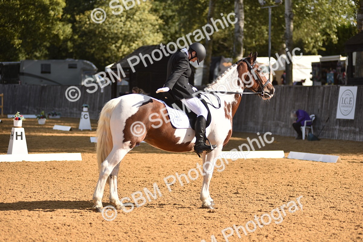 SBM_02948 - D4 - Small Tour Championship Intro 4