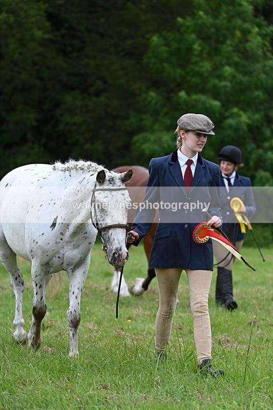 WJ7_4583 - Class 14B Prettiest Mare