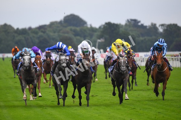 yr21082021r2-10 - Race 2 2.25pm Sky Bet Melrose Stakes