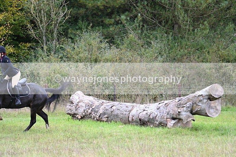 WJ7_3775 - Camera 1 Line 1