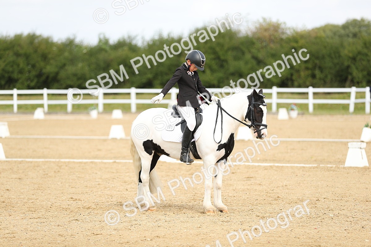 SBM_016353 - Class 13 - Novice 23 - 11.25-12.35