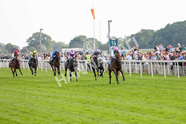 170524-Race 5-Lead Artist-2235 - Race 5 4.15pm  Darley EBF Novice Stakes