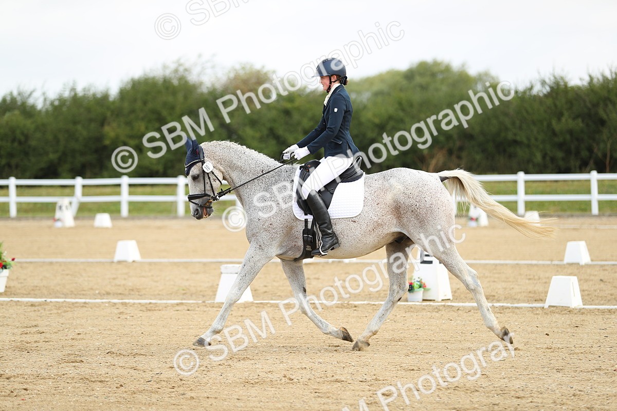 SBM_015079 - Class 13 - Novice 23 - 8,30-9.33