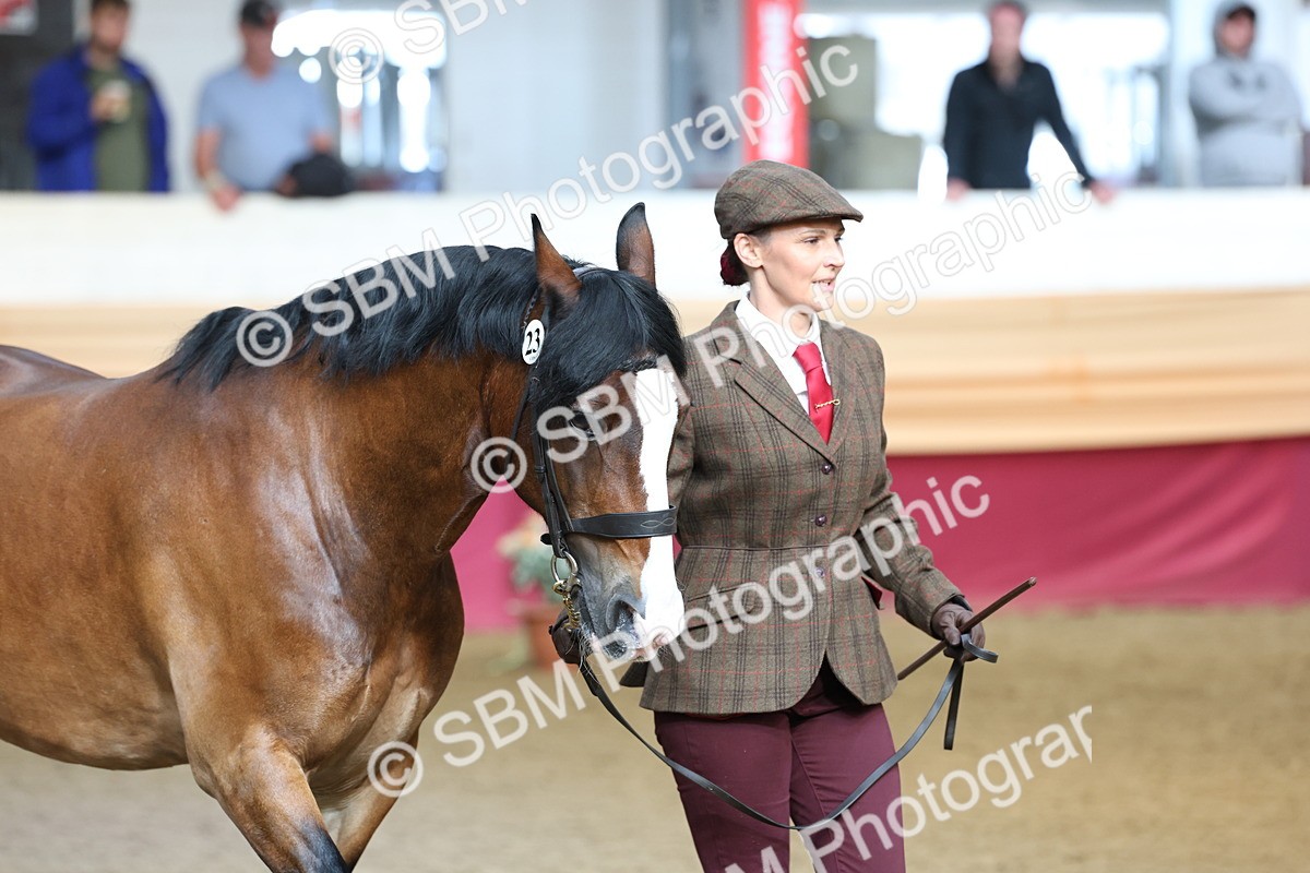 SBM_22484 - Class 902 - Supreme Final - IH Diamond