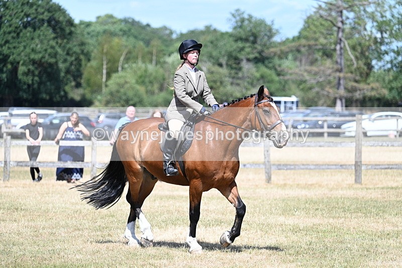 WJ7_3460 - Class 8 Ridden Veterans