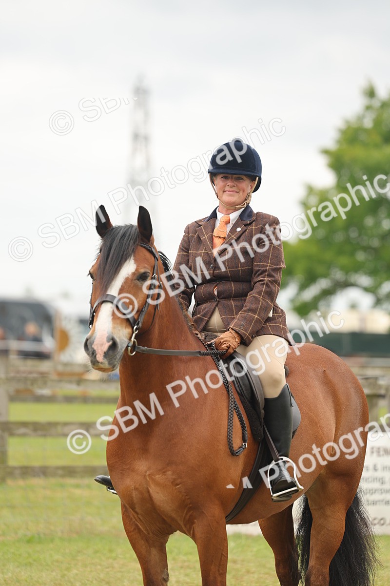 SBM_07245 - Class 76-77 - Ridden M&M Welsh Ponies