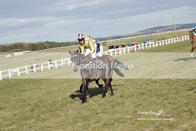 PtP 260223 1214 - South & West Wilts Point-to-Point Larkhill 26/02/23