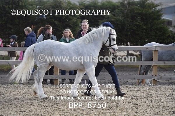 BPP_8750 - RING 2 - M&M