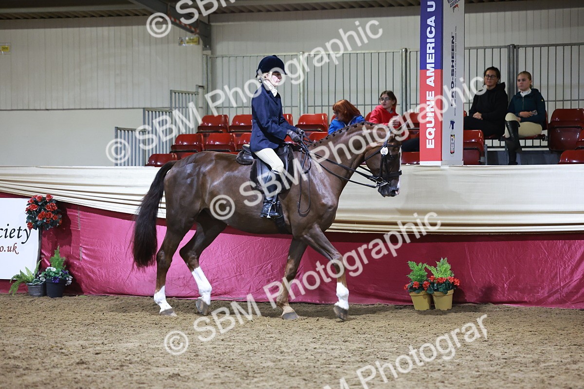 SBM_21556 - Class V - Champion of Champions