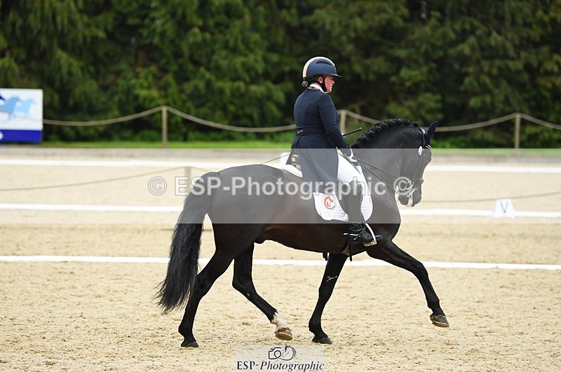 230426-165106-02097 - Cls 12 FEI Intermediate I