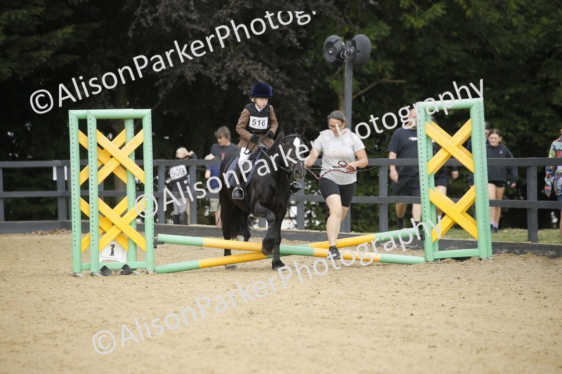 20250622-1329 - 40cm