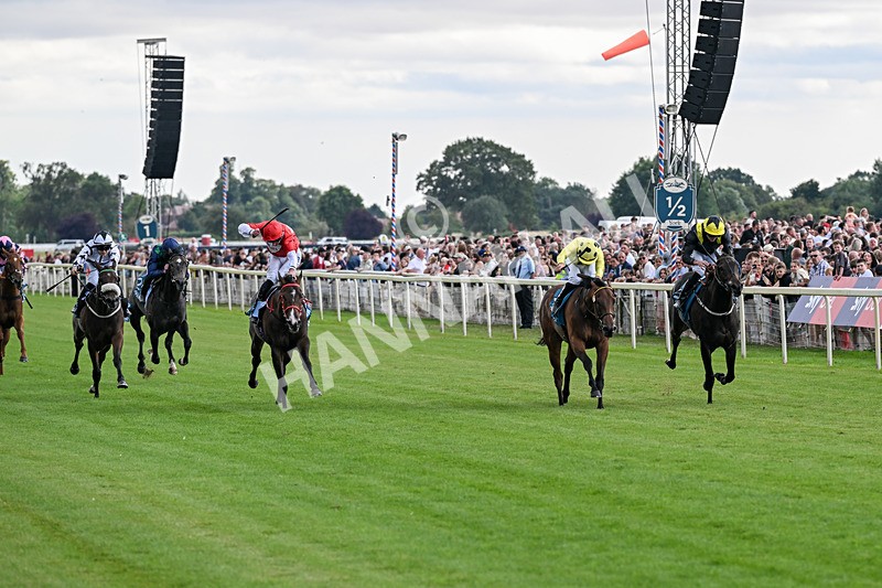 250726-Race 5-Rogue Jewel-7536 - Race 5 15.42pm Sky Bet Price Boosts EBF Fillies' Novice Stakes