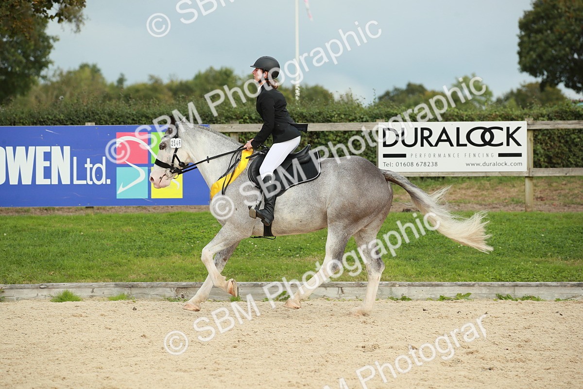 SBM_10297 - J31 Senior 75cm Championship