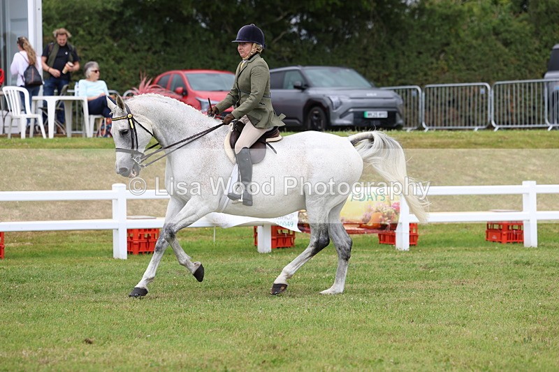 3E7A0951 - Class 8: Open Riding Horse/Hack