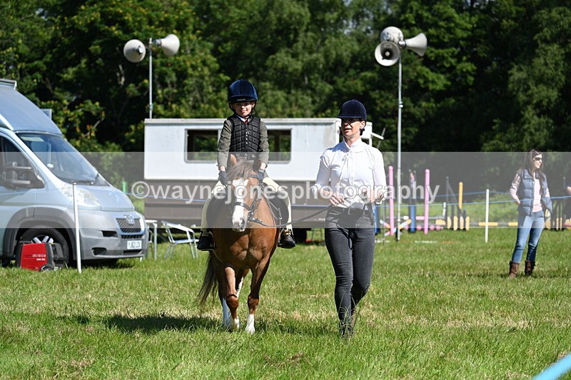 WJ7_0728 - Class 8 First Rally Pony