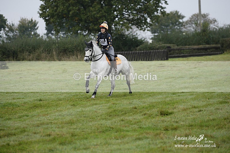 WWHT 171021 0205 - Novice Restricted (0.80m)  17/10/21