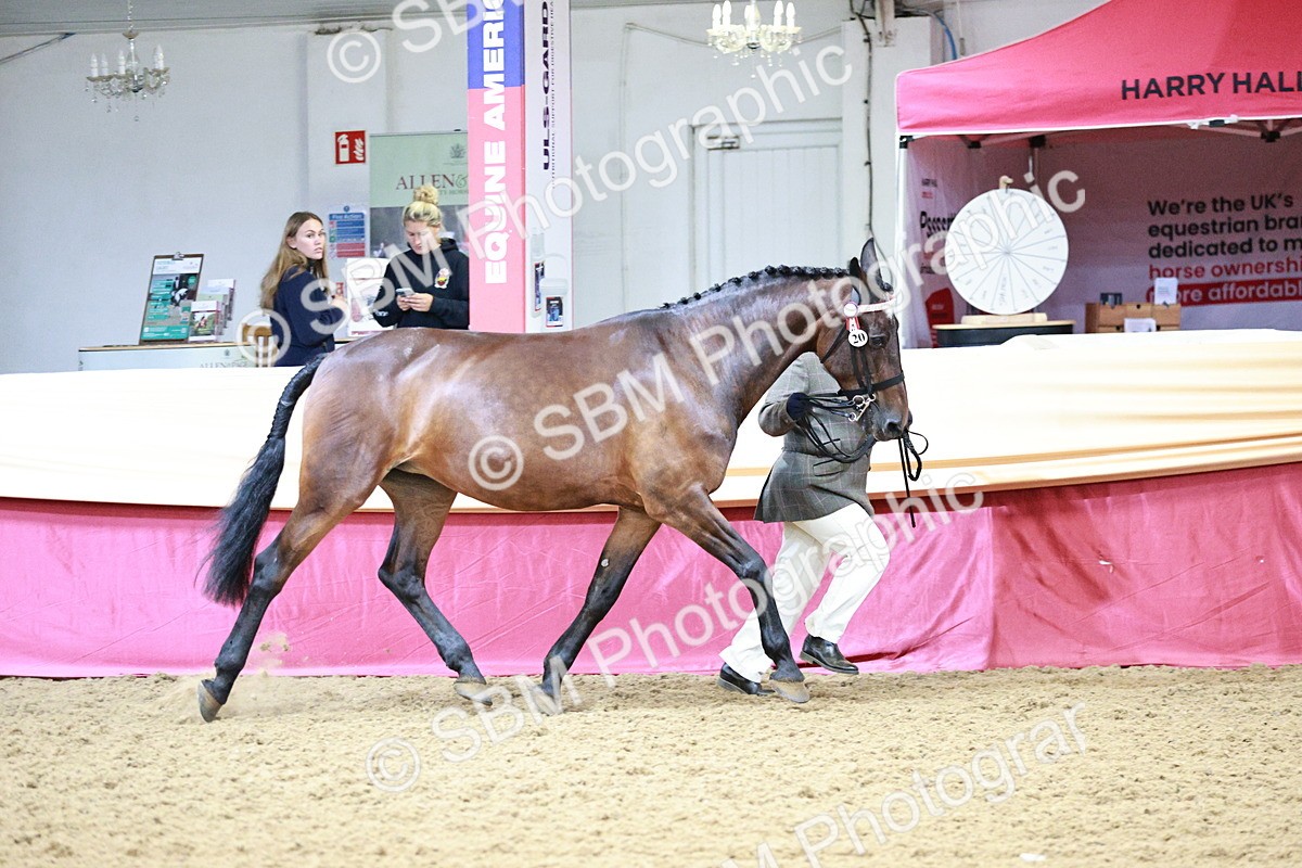SBM_00873 - Class 2A - Area IH Veteran