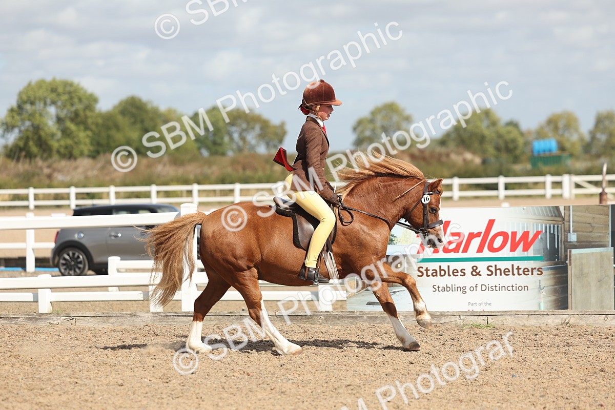 SBM_23235 - Class 807 - young Rider 11 to 16 Years