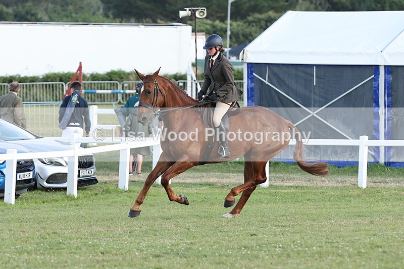 JPP_3765 - Working Hunter Championship