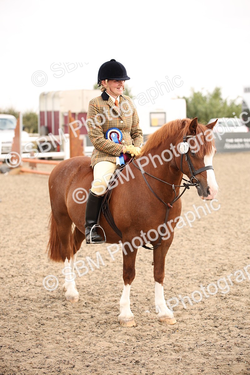 SBM_12286 - Class 405a - M&M Working Veteran 50cm (15-19)