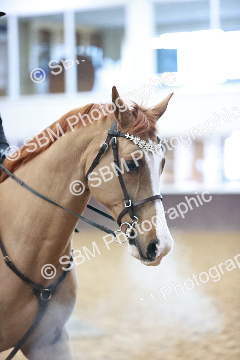 SBM_000527 - Class 2 - 80cm