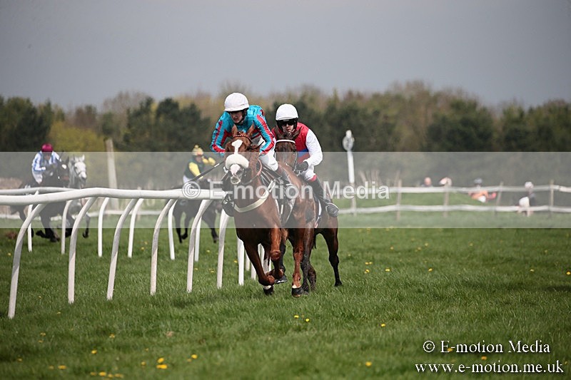 PtP 210418 9 - South & West Wilts Point-to-Point Larkhill 21/04/18