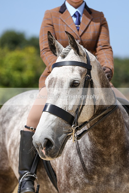 1X9A8499 - Ridden Championship