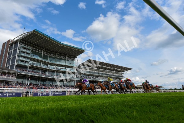 170523-Race 5-Dark Thirty-3992 - Race 5 4.10pm Conundrum HR Consulting Handicap