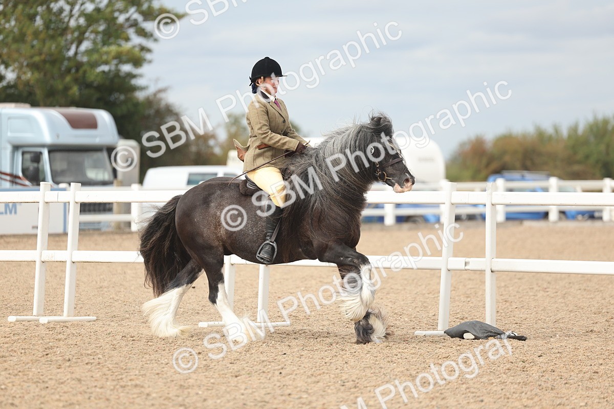 SBM_17997 - Class 314 - Family Horse Pony