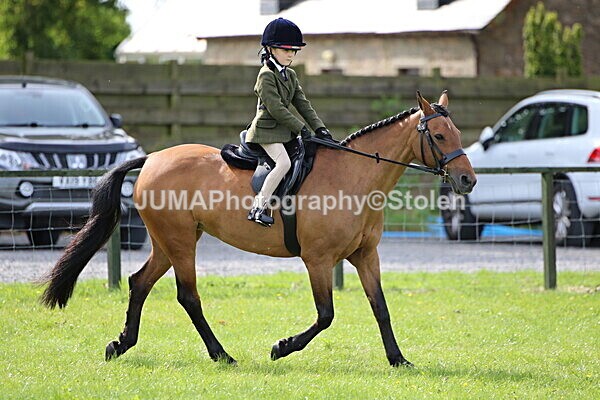 SIAL6677 - Ring 1 & 3